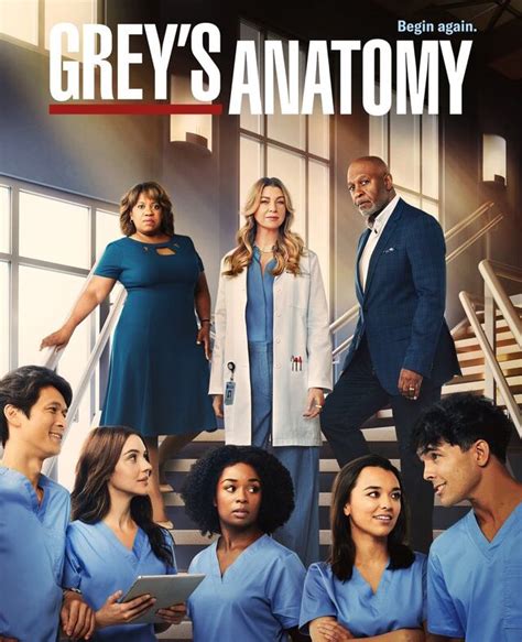 grey's anatomy temporadas completas.